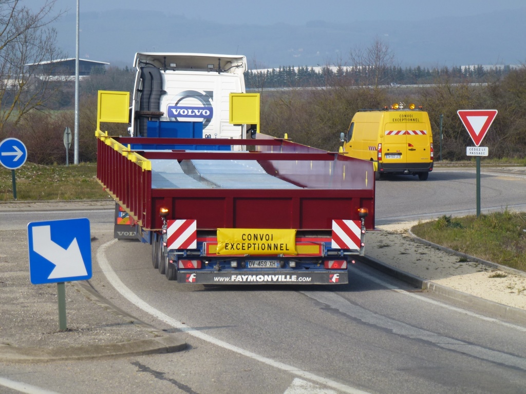 Transport d'un Raton Laveur
